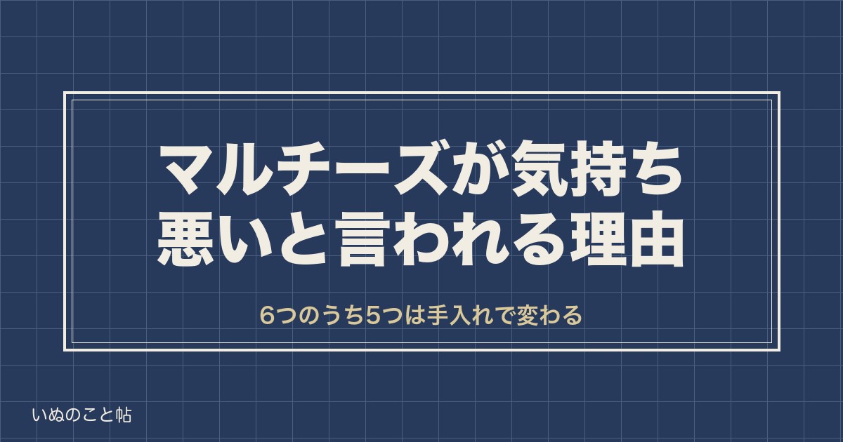 マルチーズは気持ち悪い?言われる理由と性格や凶暴化の噂も