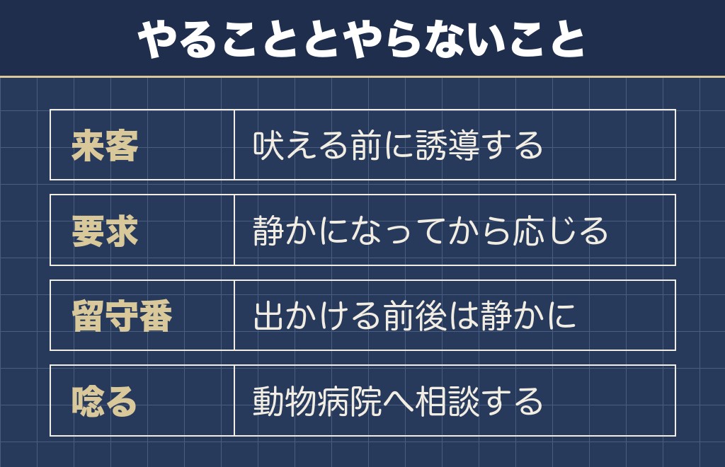 マルチーズの吠えと噛みつきにどう向き合うか