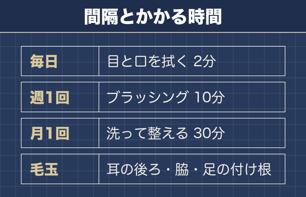 マルチーズの見た目を保つ手入れの手順