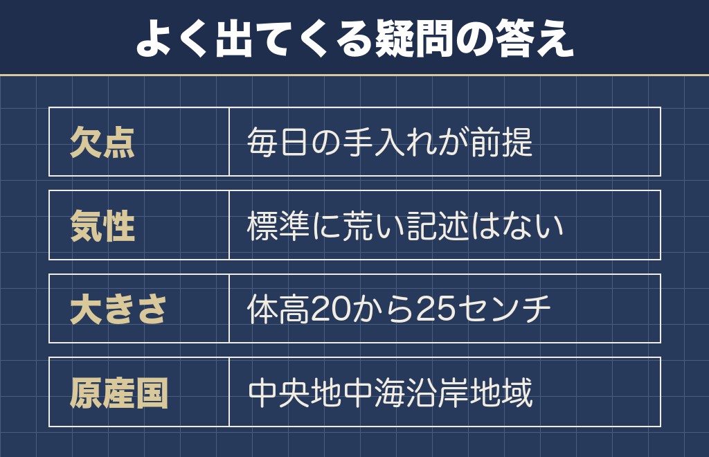 マルチーズが気持ち悪いと言われることに関するQ&A