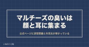 マルチーズの臭いの出どころは顔と耳？後悔する前に見る場所も