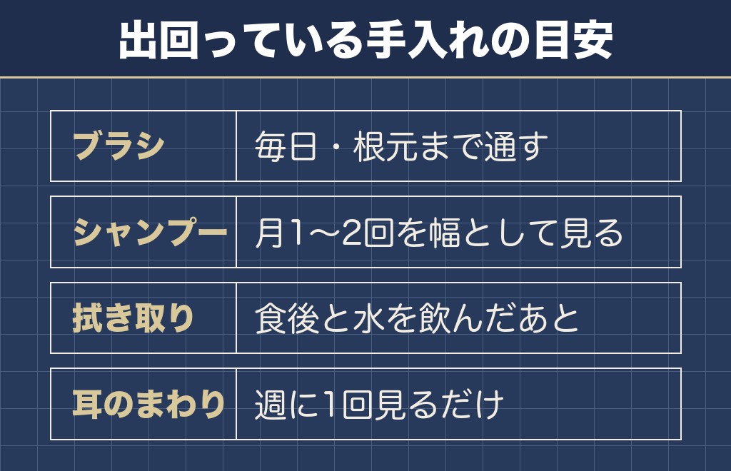 マルチーズの白い毛は毛玉になると臭いを抱える