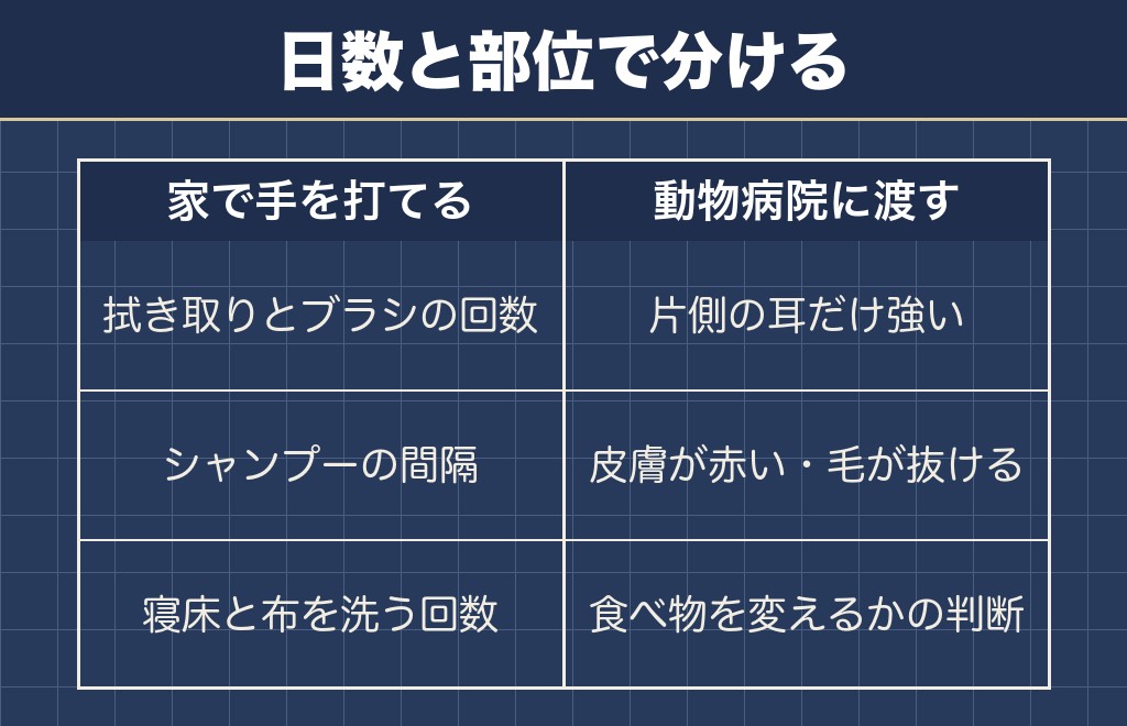 マルチーズの臭いで家で手を打てる線と病院に渡す線