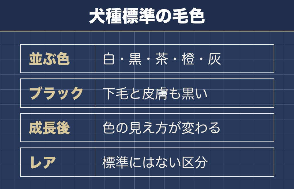 ポメラニアンの毛色は下毛と上毛の組み合わせで決まる