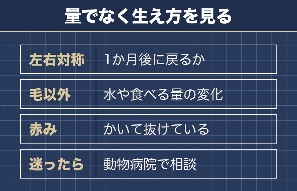 ダブルコートでも抜け毛が増えすぎるときは病気のこともある