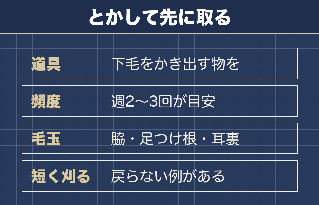 ダブルコートの毛を守る手入れはブラッシングが中心