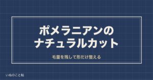 ポメラニアンのナチュラルカットとは？整える範囲や頼み方も
