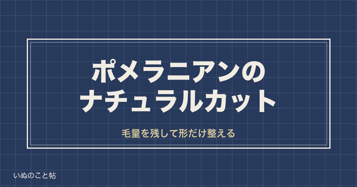 ポメラニアンのナチュラルカットとは？整える範囲や頼み方も