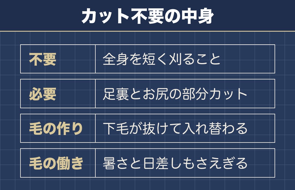 ポメラニアンがカット不要犬種と言われるのは毛が二重だから
