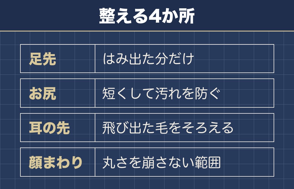 ナチュラルカットで整える場所は4か所に絞って頼む