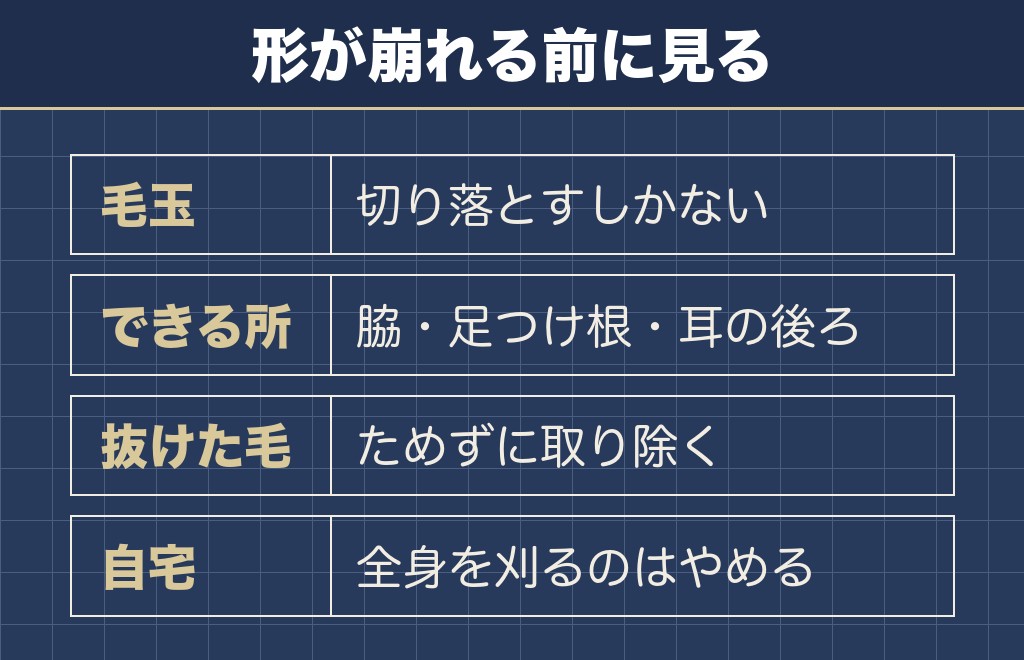 ナチュラルカットの形を保つのは家のブラッシング