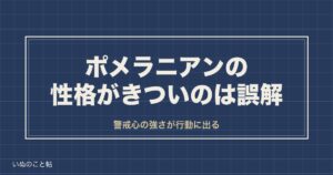 ポメラニアンの性格がきついのは誤解？オスとメスの違いや欠点も