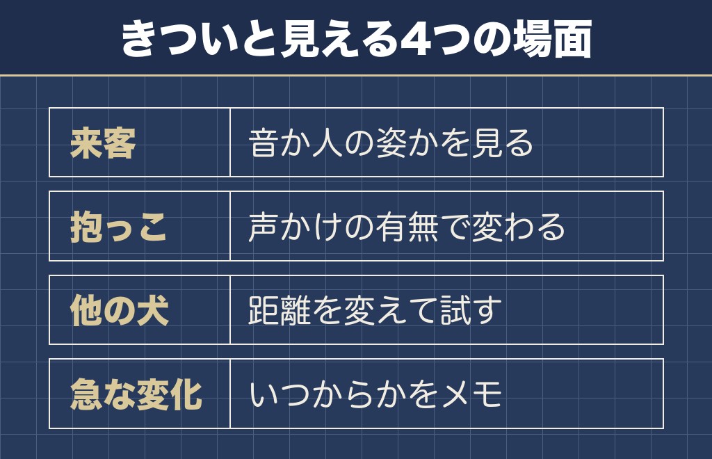 ポメラニアンの性格がきついと言われるのは警戒心の強さから