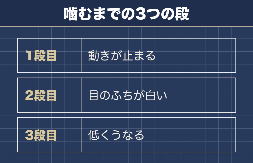 ポメラニアンは凶暴ではなく気性が荒く見える場面がある