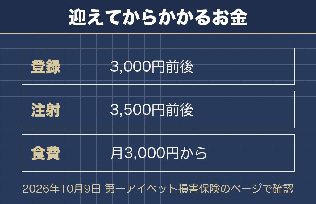 ポメラニアンの欠点は吠え声と抜け毛と骨の弱さ