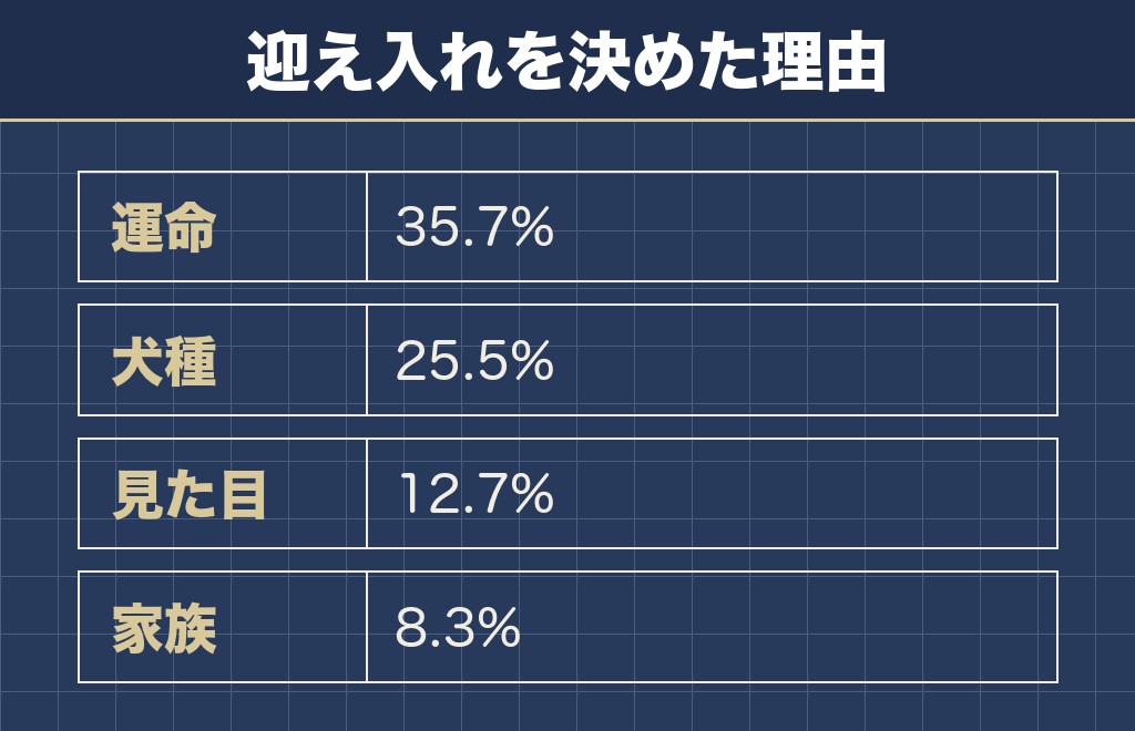 性格の悪い犬ランキングにポメラニアンが入る理由
