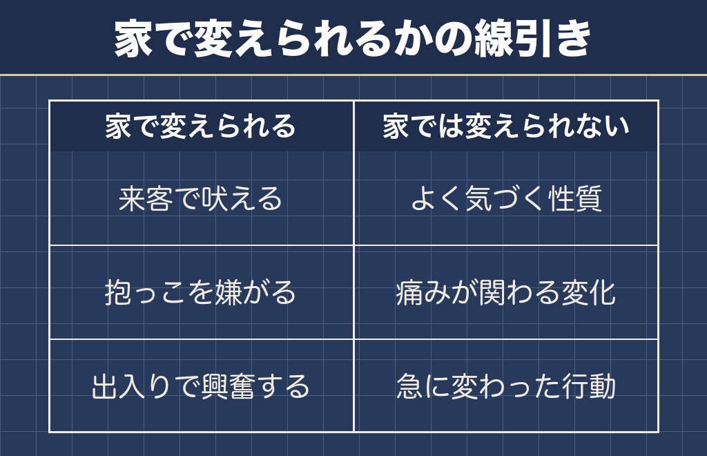 ポメラニアンの性格は変わる場合と変わらない場合がある