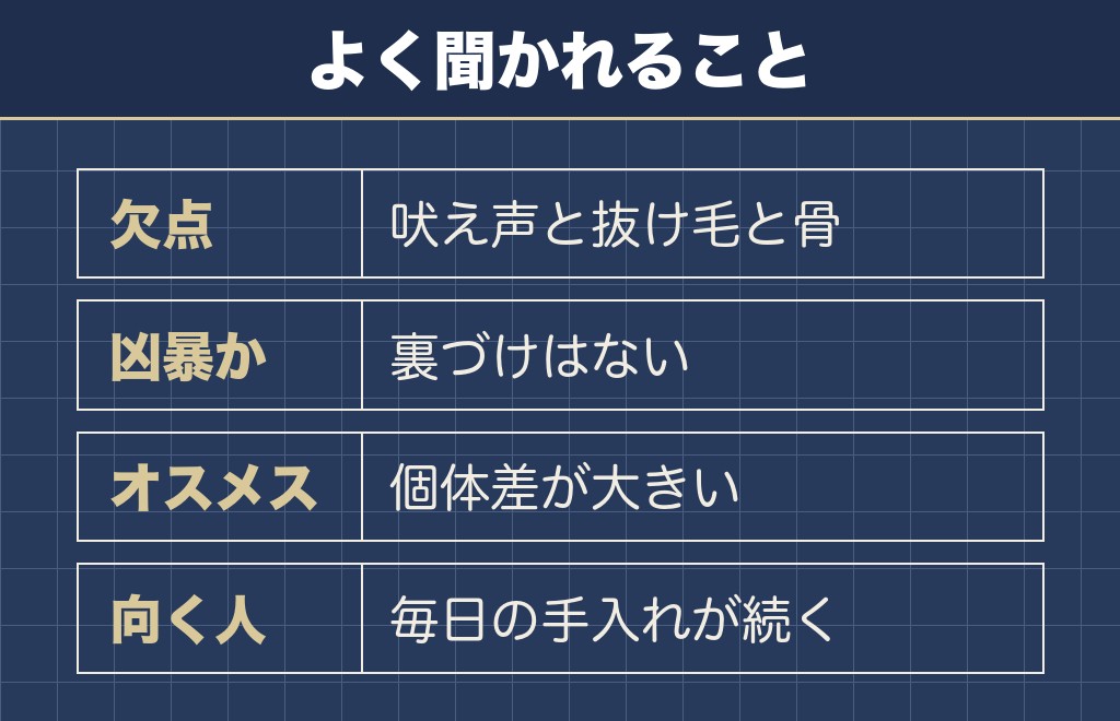 ポメラニアンの性格がきついかに関するQ&A