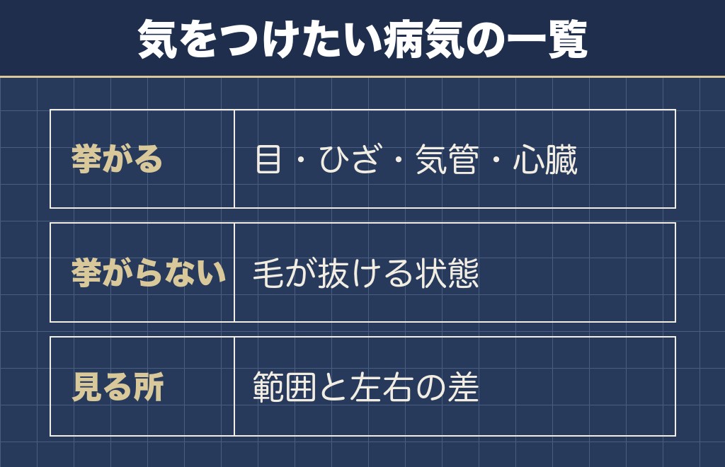 ポメ柴のリスクで名前が挙がる脱毛症は公式の一覧に無い