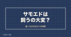 サモエドを飼うのが大変なのは3つの時期？欠点や費用の目安も