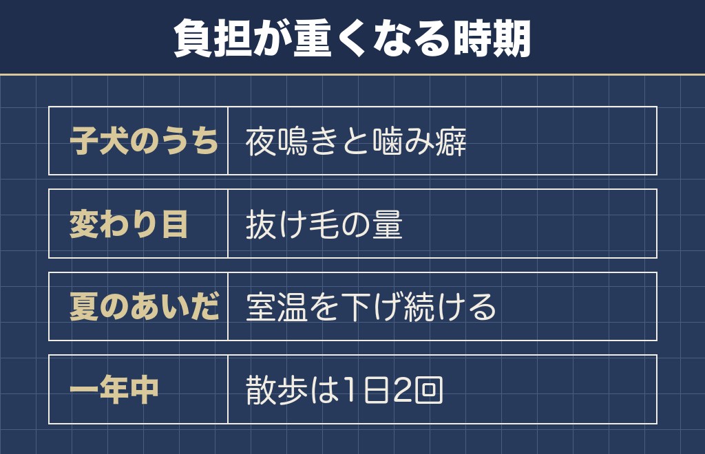 サモエドを飼うのが大変なのは子犬のうちと季節の変わり目と夏