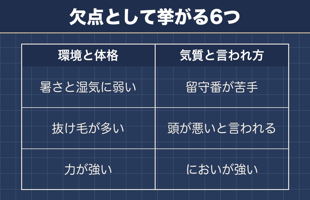 サモエドの欠点として挙がるのは6つ