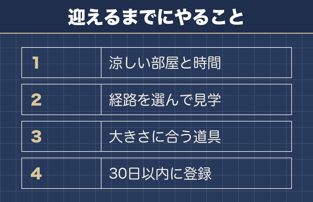 サモエドを飼うには準備と手続きで5つやることがある