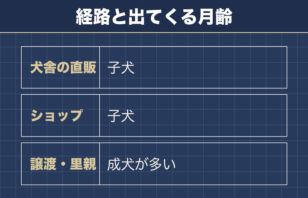 サモエドを迎える経路は3つに分かれる