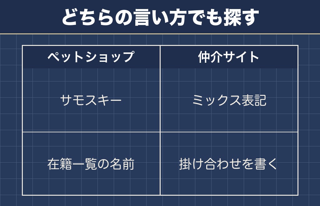 サモエドとハスキーのミックスの名前はサモスキー