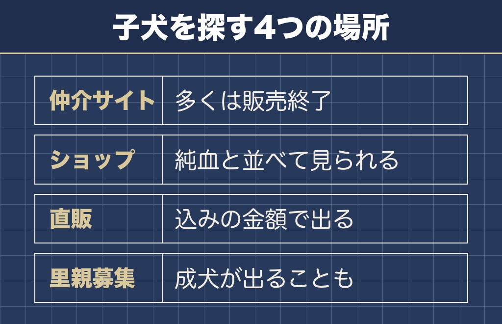 サモエドとハスキーのミックスの子犬が出てくる場所