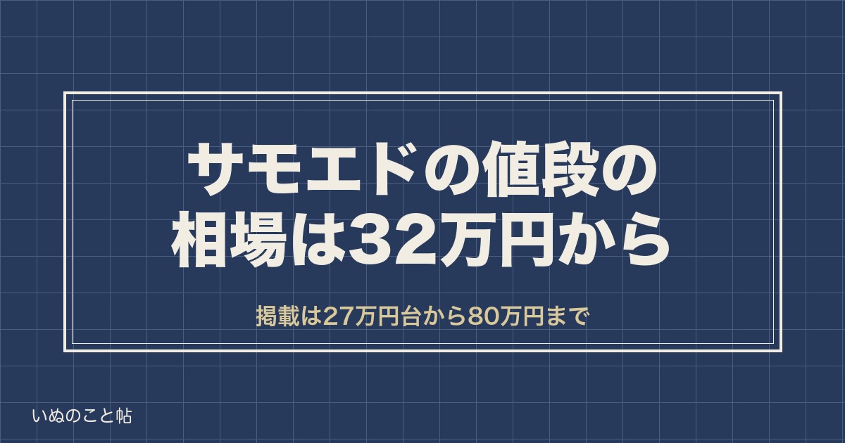 サモエドの値段の相場は32万円から?ブリーダーと店の差も