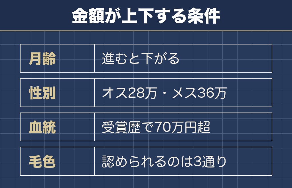 サモエドの値段の相場が上がる4つの条件