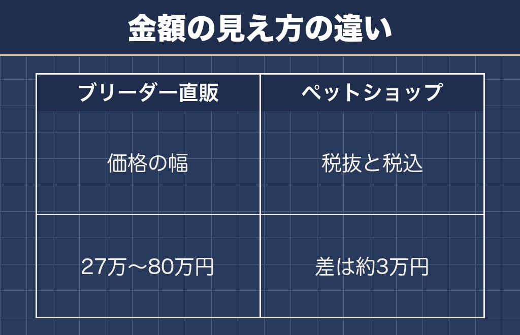 サモエドを迎える場所で値段の相場の見え方が変わる