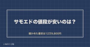 サモエドの値段が安いのは12万円台から？ブリーダー選びの基準も