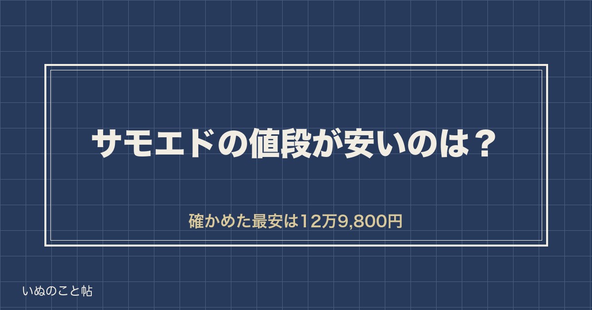 サモエドの値段が安いのは12万円台から？ブリーダー選びの基準も
