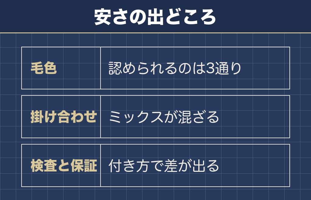 サモエドの値段が安い個体に多い3つの事情
