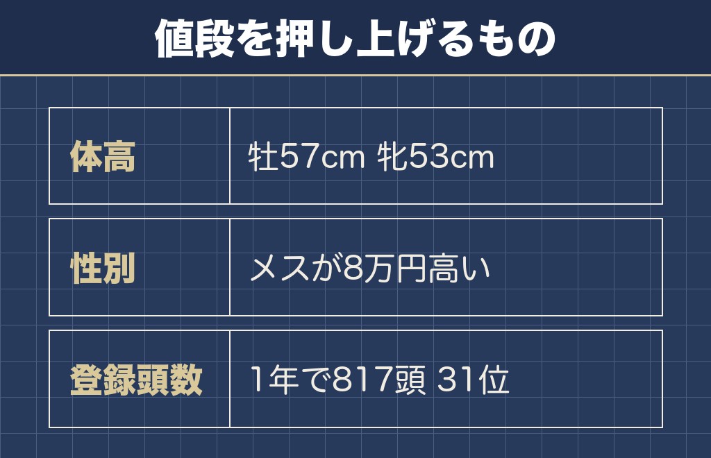 サモエドの赤ちゃんの値段が高く付く条件