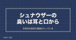 ミニチュアシュナウザーの臭いは耳と口から？毛質や抜け毛も