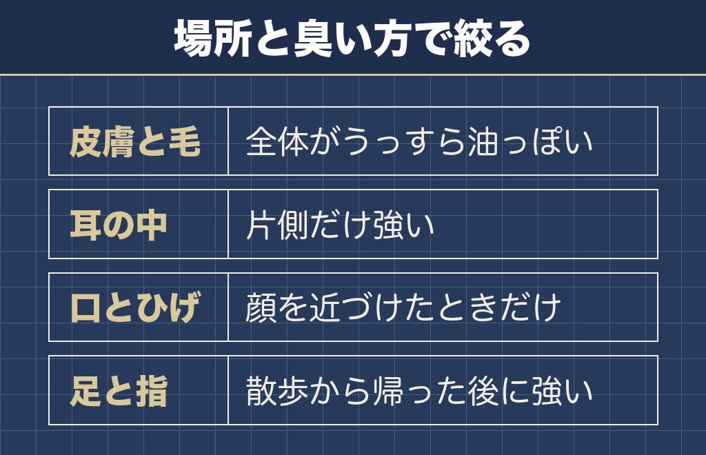 ミニチュアシュナウザーの臭いの原因を場所別に整理