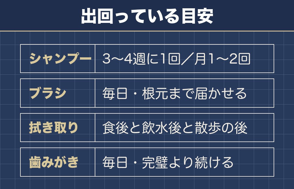 ミニチュアシュナウザーの臭い対策で家でやること