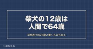 柴犬の12歳は人間で64歳？早見表が割れる理由と寿命の残りも