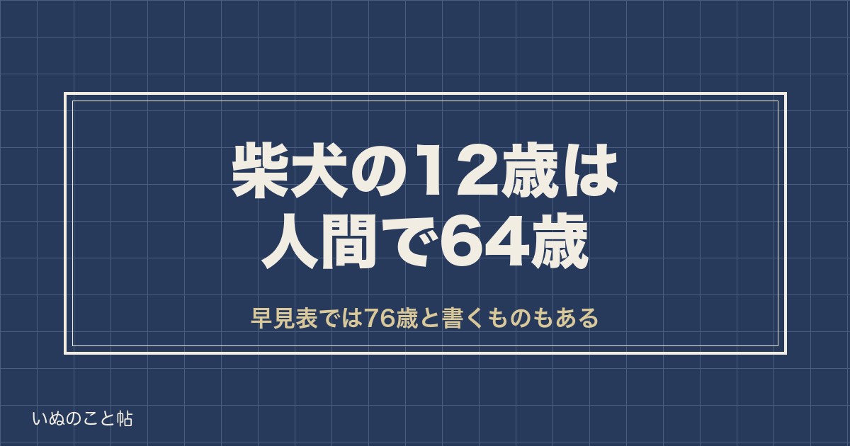 柴犬の12歳は人間で64歳？早見表が割れる理由と寿命の残りも