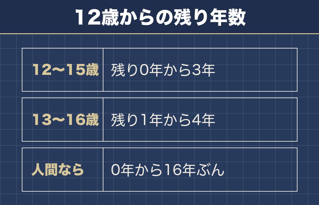 柴犬の12歳から平均寿命まで何年あるか