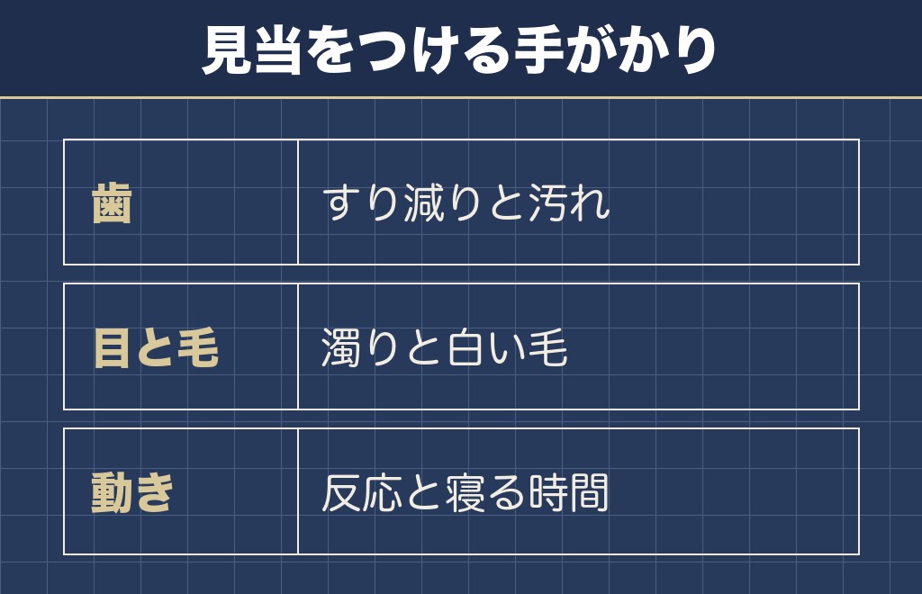 柴犬の年齢が分からないときの見分け方