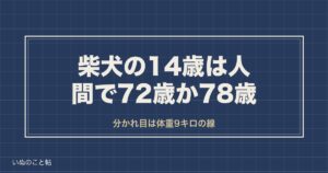 柴犬の14歳は人間で72歳か78歳？体重別の換算と寿命も