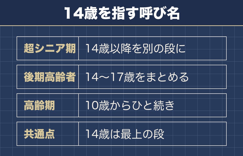 柴犬の14歳は超シニア期という区分に入る