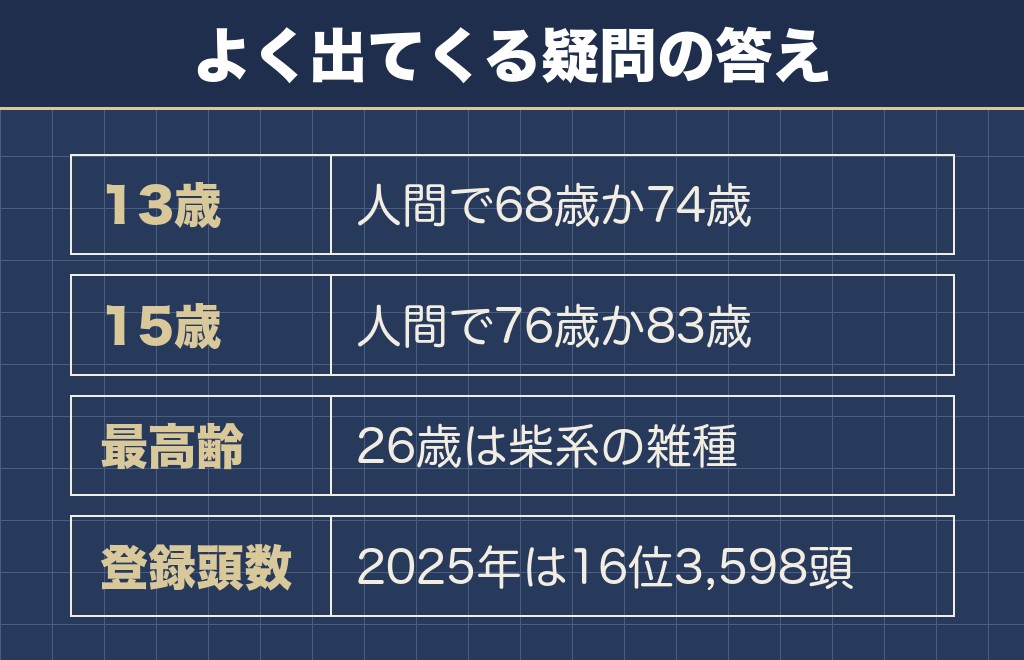 柴犬の14歳と人間の年齢に関するQ&A