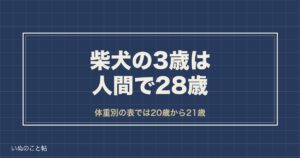 柴犬の3歳は人間で28歳？体重別の表と落ち着く年齢の目安も