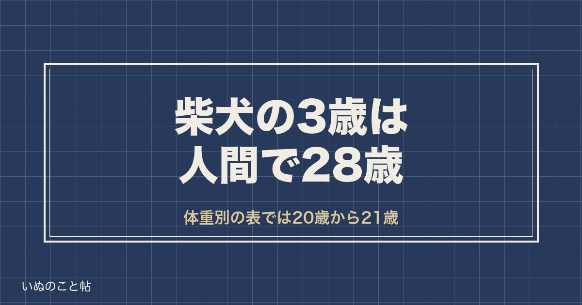 柴犬の3歳は人間で28歳？体重別の表と落ち着く年齢の目安も