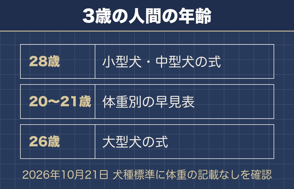 柴犬の3歳は人間でいうと28歳にあたる